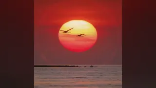 Don't Forget (About Me) - Lost Frequencies [ALL]